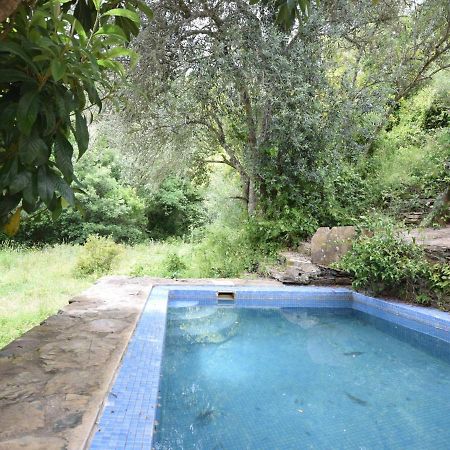 Quiet And Cottage In The Estate Casas Da Cerca Troviscais Luaran gambar
