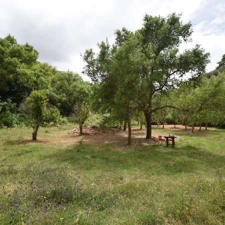 Quiet And Cottage In The Estate Casas Da Cerca Troviscais Luaran gambar