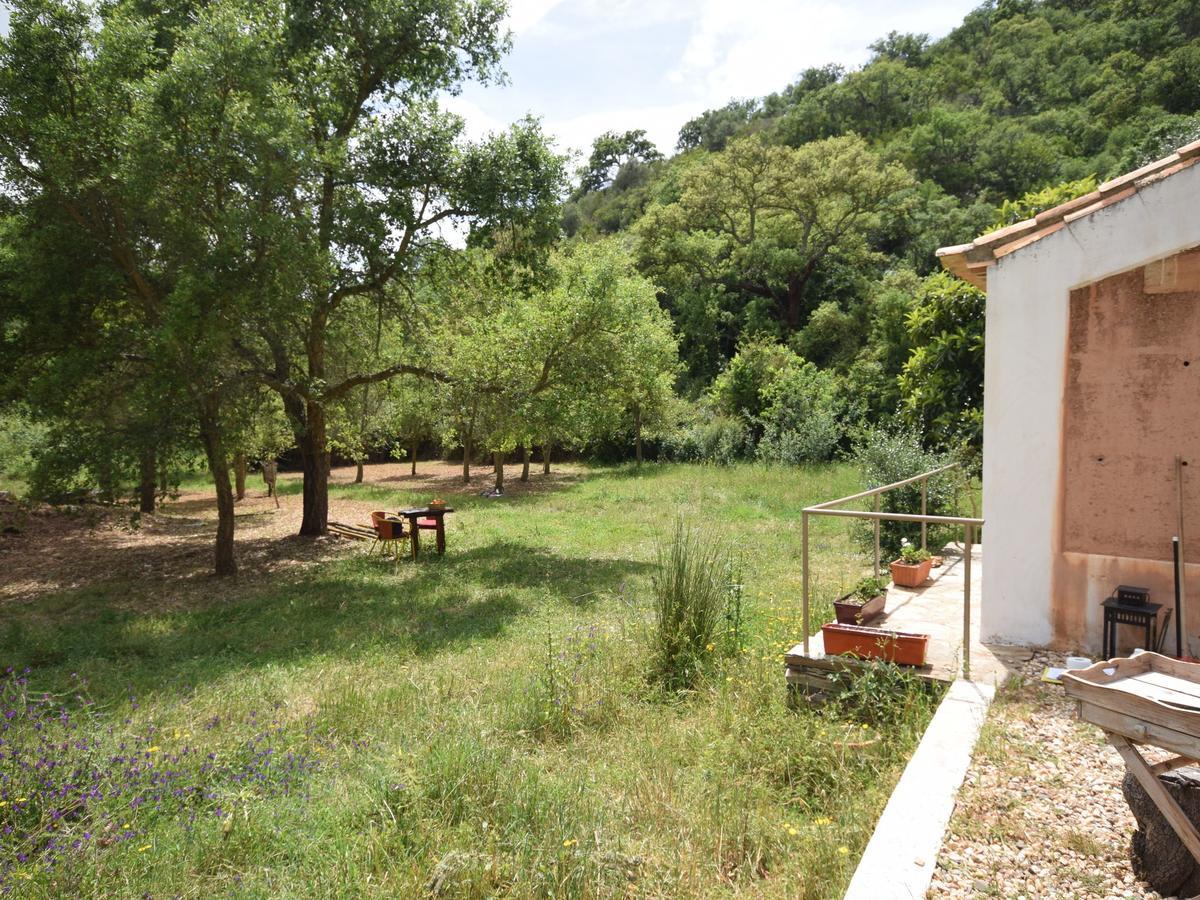 Quiet And Cottage In The Estate Casas Da Cerca Troviscais Luaran gambar